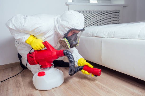 Best Local Pest Control Services  in Monrovia, CA