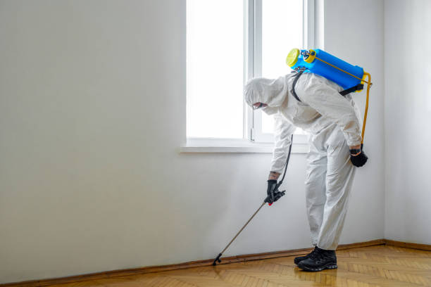 Professional Pest Control in Monrovia, CA