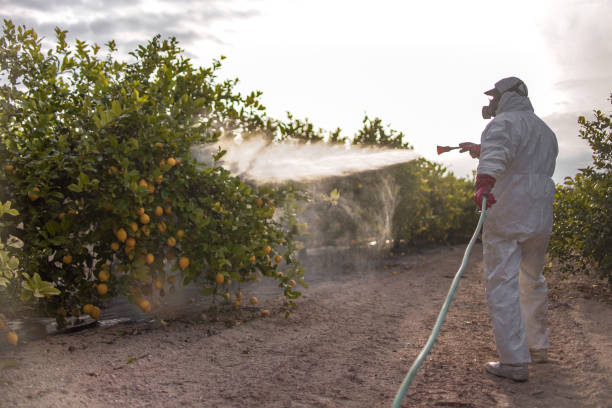Best Best Pest Control Companies  in Monrovia, CA