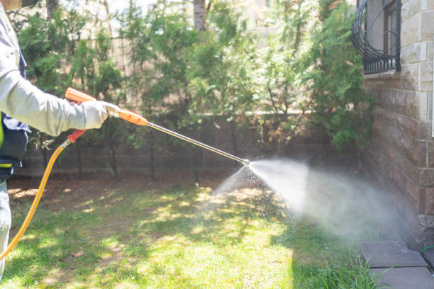 Best Mosquito Control Services  in Monrovia, CA