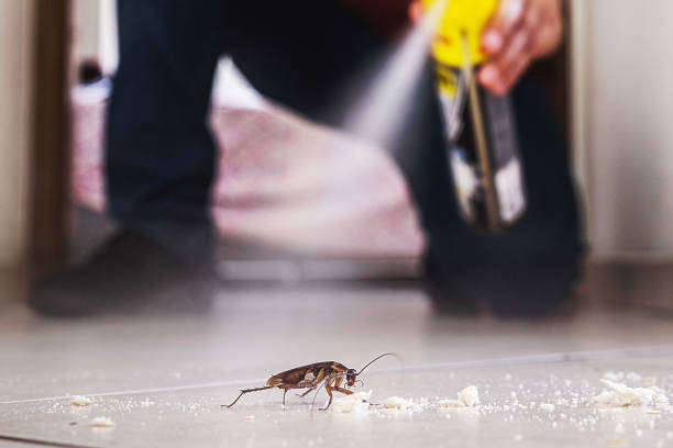 Best Flea Control Services  in Monrovia, CA