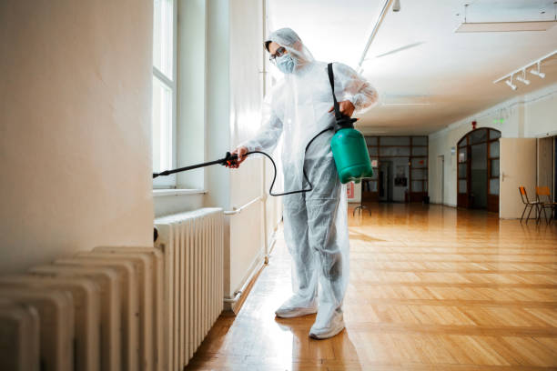 Best Rat Extermination Near Me  in Monrovia, CA