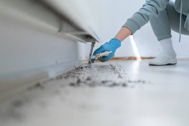 Best Emergency Pest Control  in Monrovia, CA